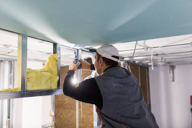 Professional Insulation Contractor in MS