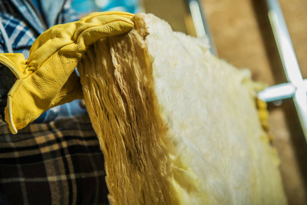 Best Insulation for Specific Applications in Picayune, MS