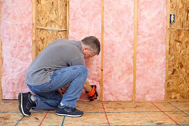Best Insulation Maintenance and Repair in Picayune, MS